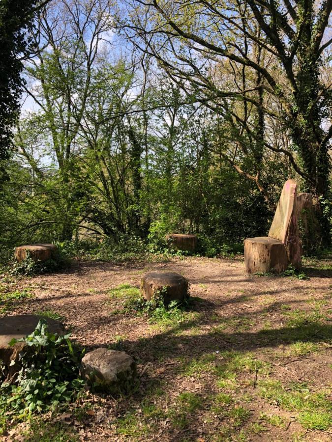 Appartement Au Calme Nature Et Centre Ville Quimper Eksteriør bilde